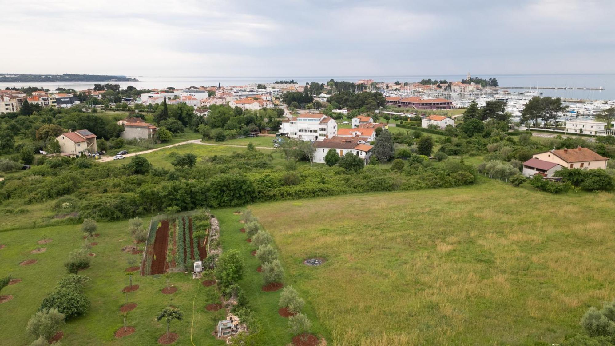 Apartments Mirella Novigrad (Istria) Exterior foto