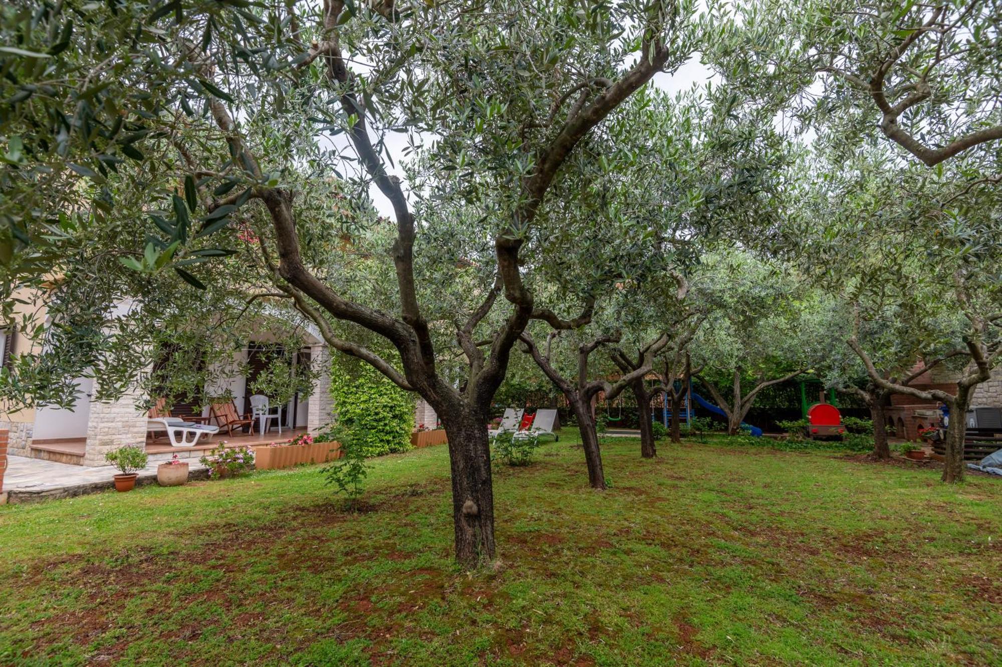 Apartments Mirella Novigrad (Istria) Exterior foto